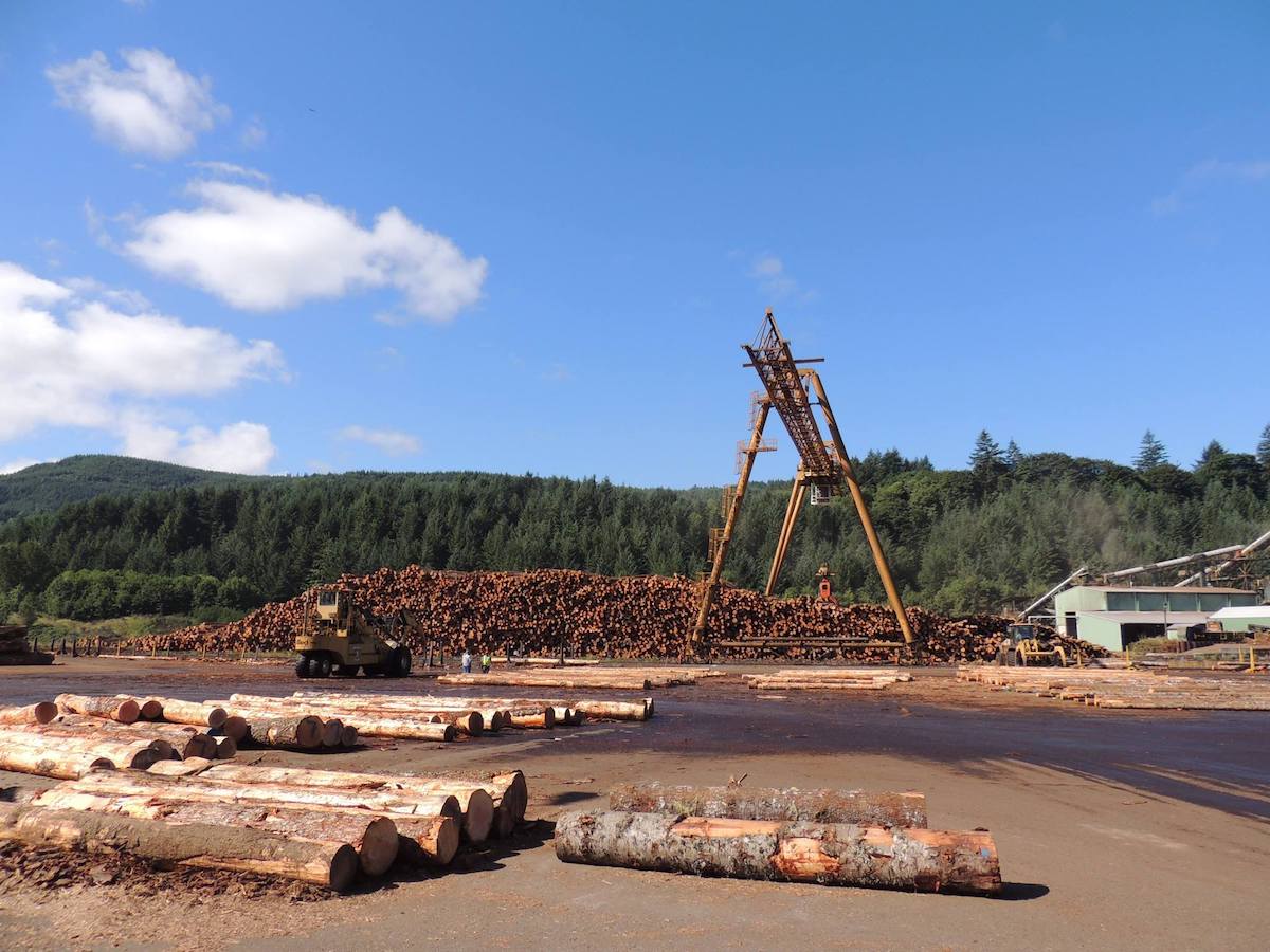 February Market Report: Stability Reigns in Wood Products Supply and Demand