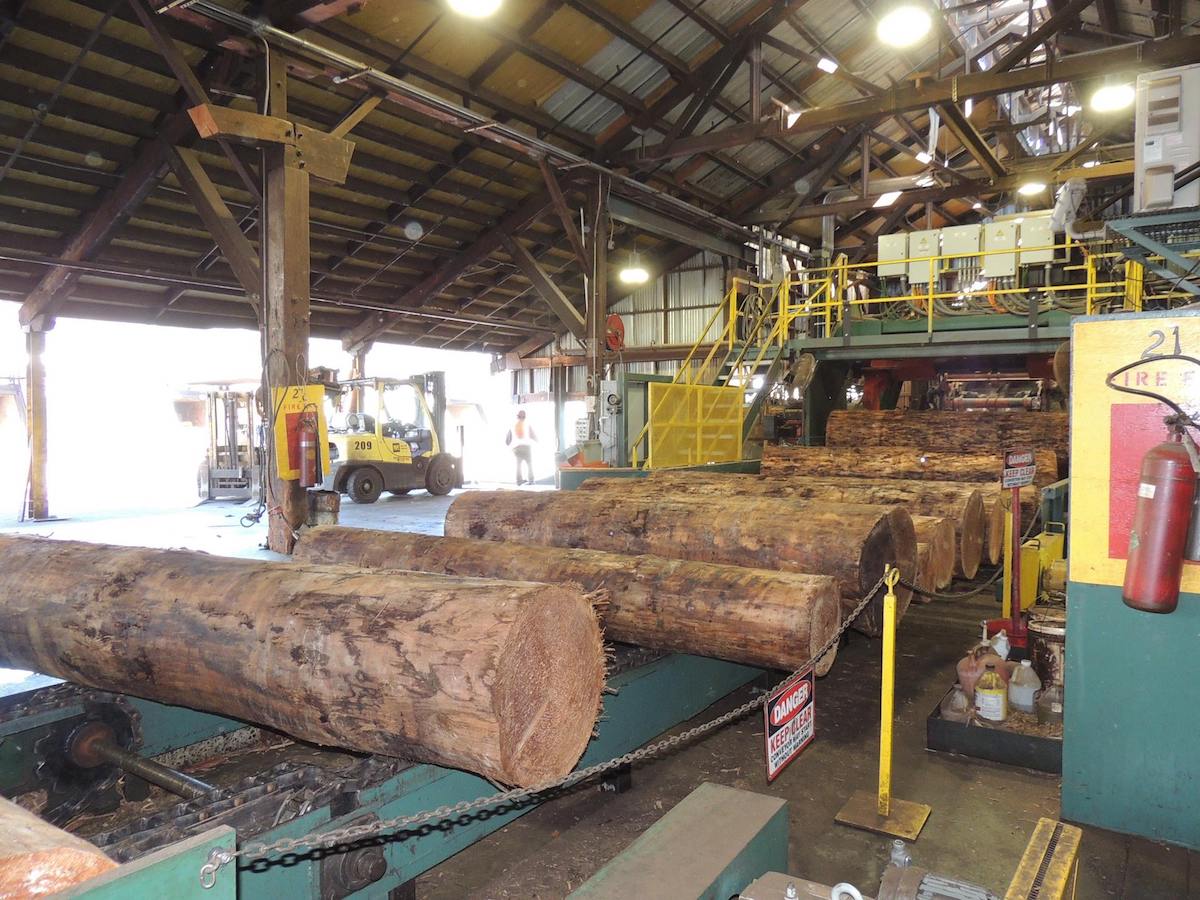 March Market Report: High Demand in the Wood Products Market