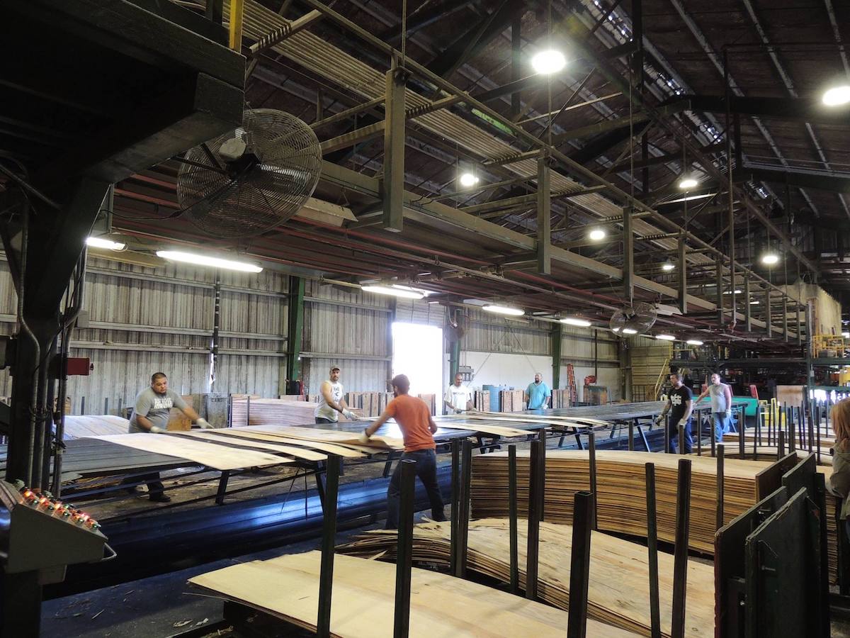 December Market Update: Strong Plywood Market for the New Year