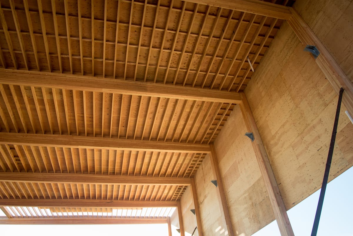 Engineered Wood Products and Carbon