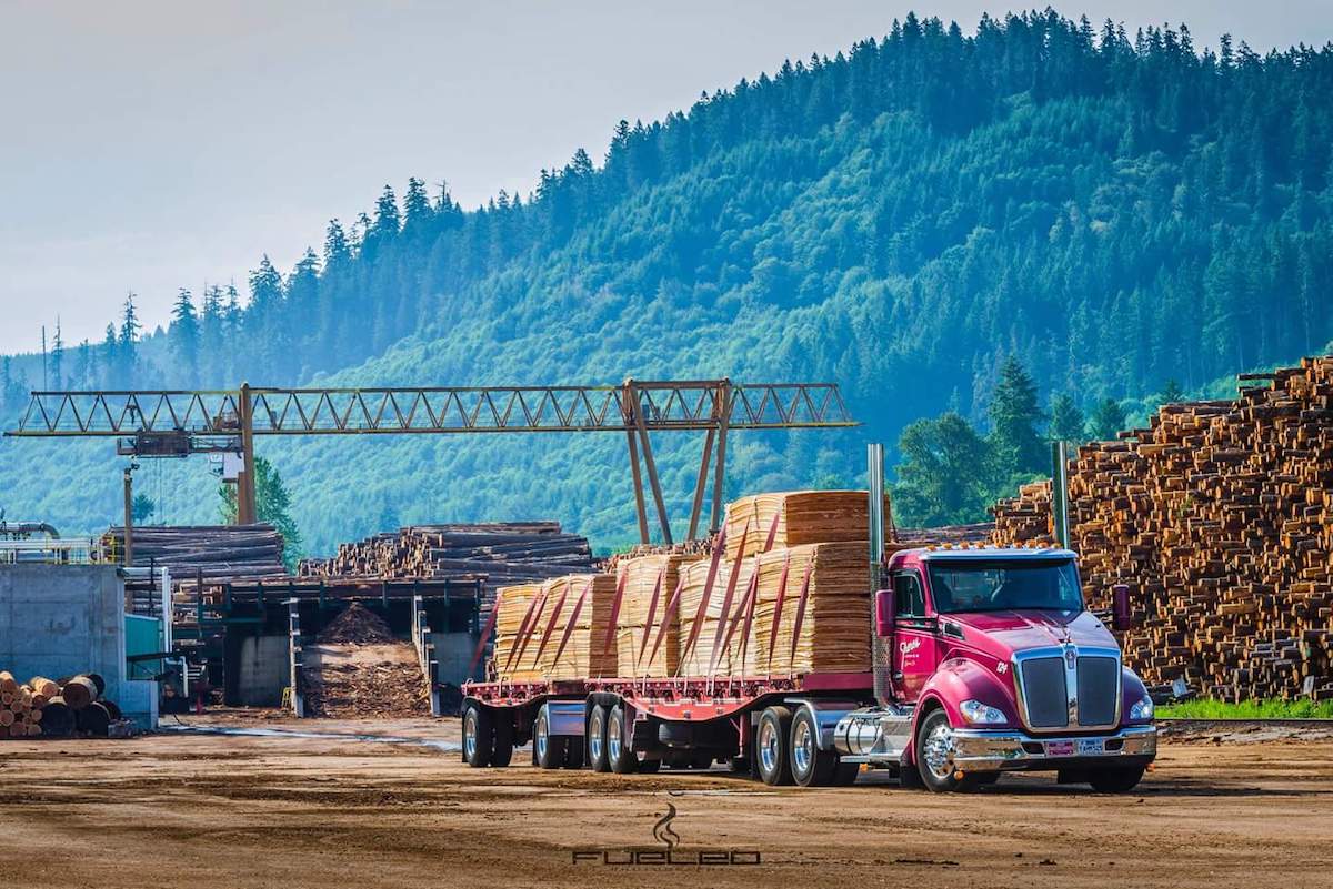 January Market Update: Expected Slow Start to the Year in the Wood Products Market