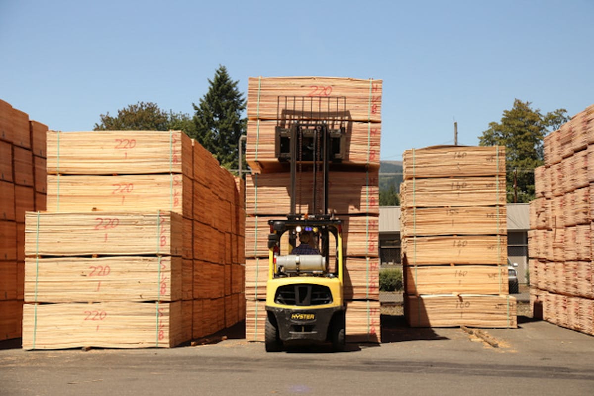 January Market Update: Plywood Orders Increase After the Snows