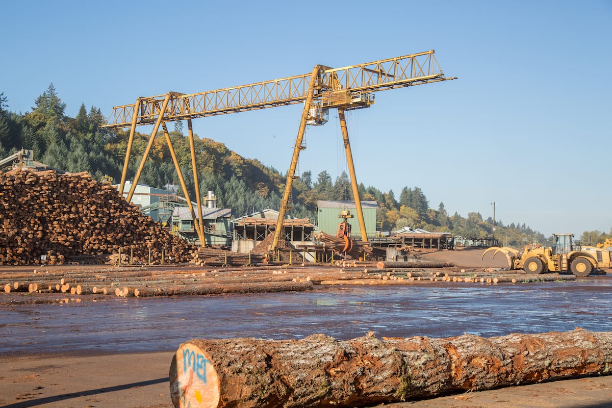 Freres Lumber February Market Update: Winter Weather Cools Commodity Panel Markets