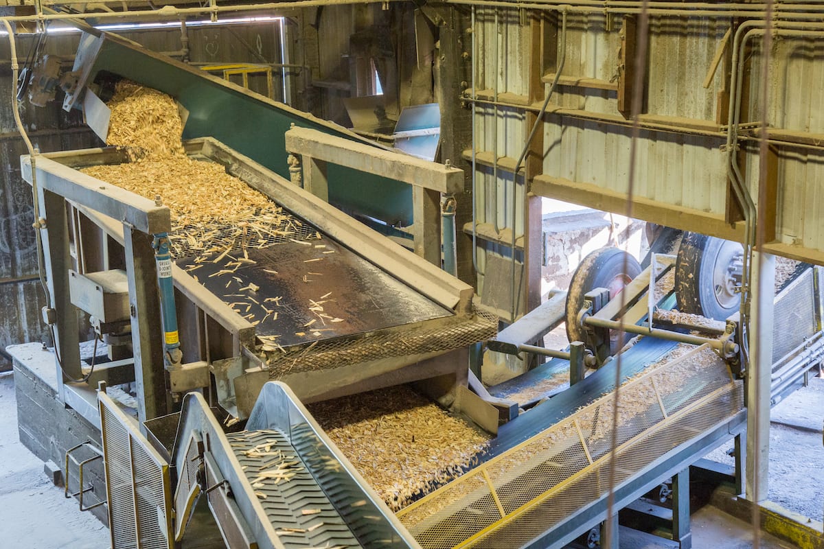 Freres Lumber June Market Report: Production Activity Increases at Plywood Mills