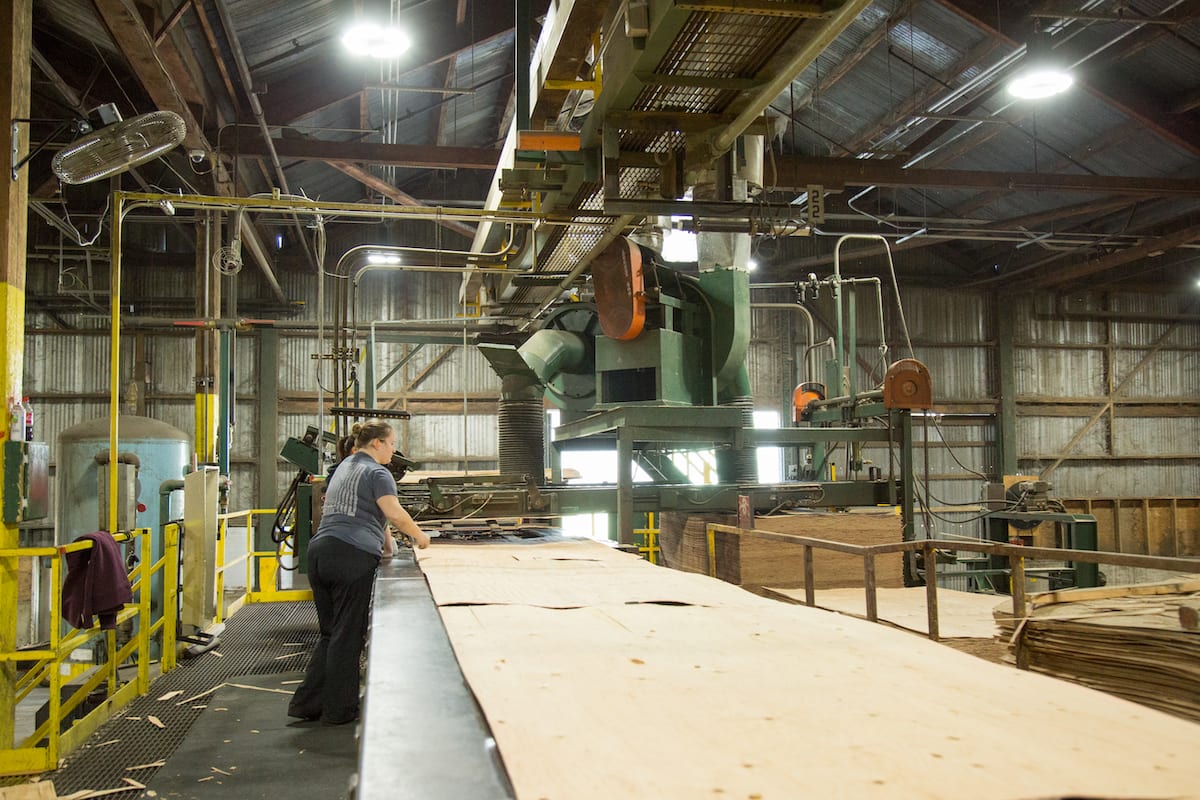 The Building Blocks of Engineered Wood