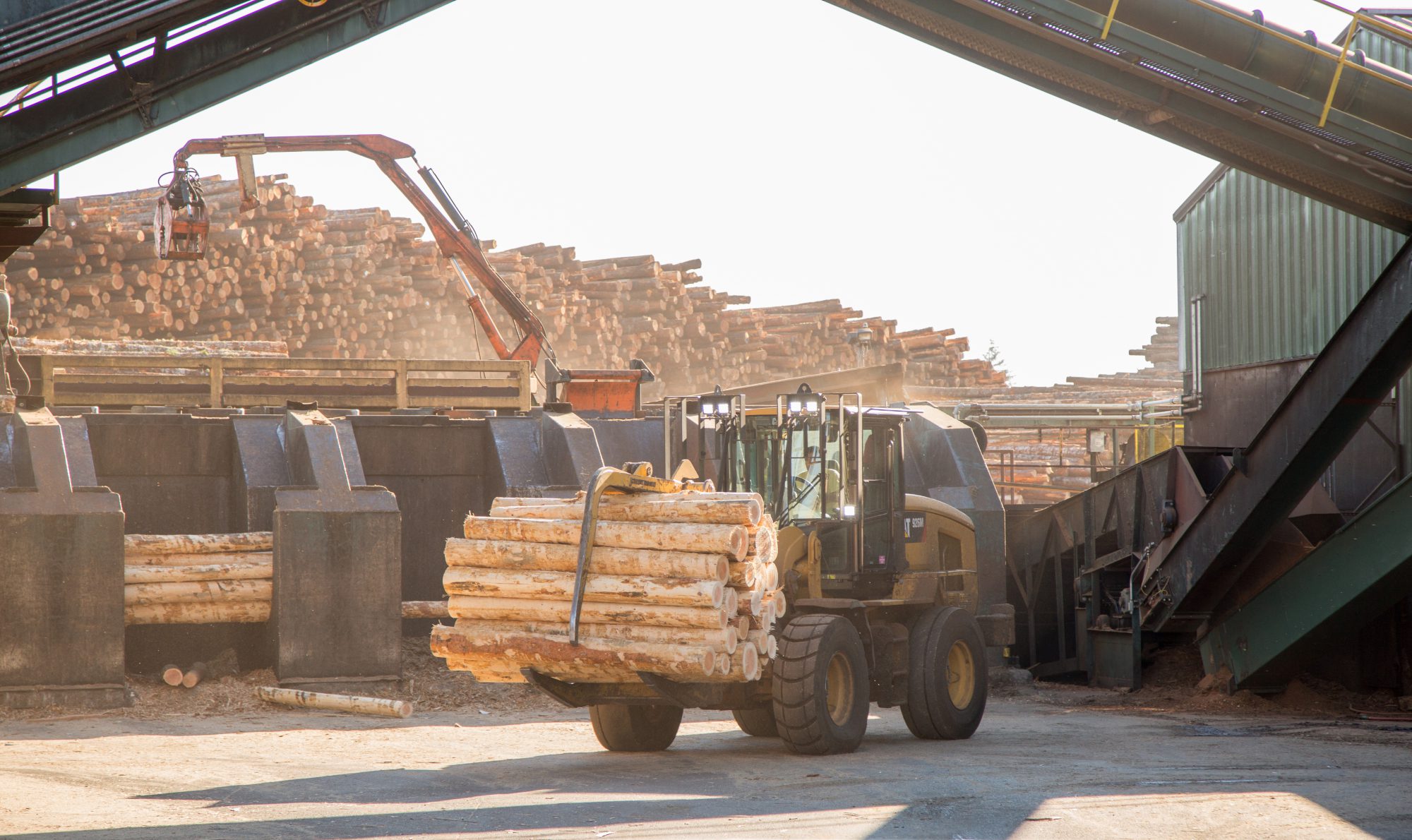 Wood Products of Freres Lumber
