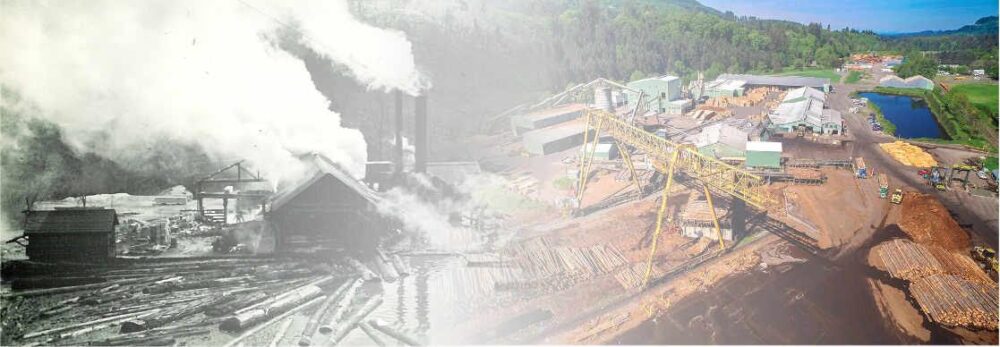 Freres Plants 1920s to 2018