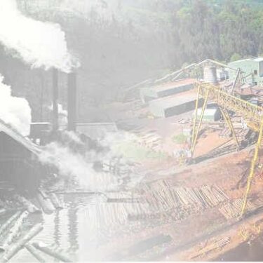 Freres Plants 1920s to 2018