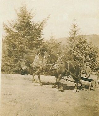 TG Freres 1924