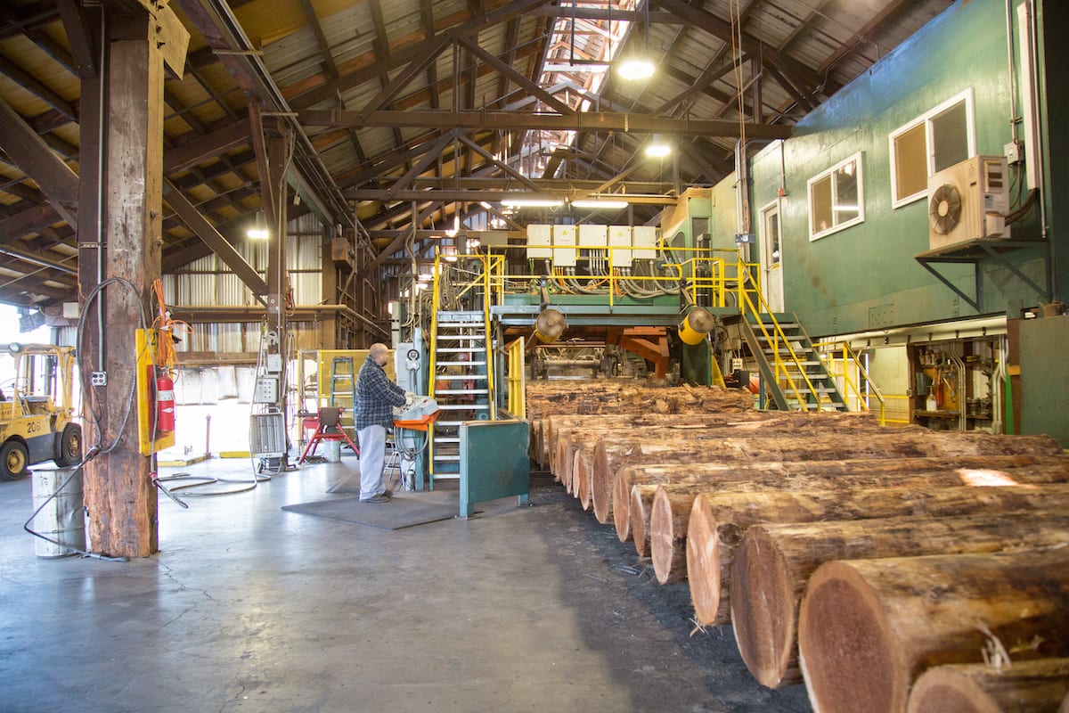 Freres Lumber September Market Update: Commodity Plywood Markets Level Out After a Temporary Uptick