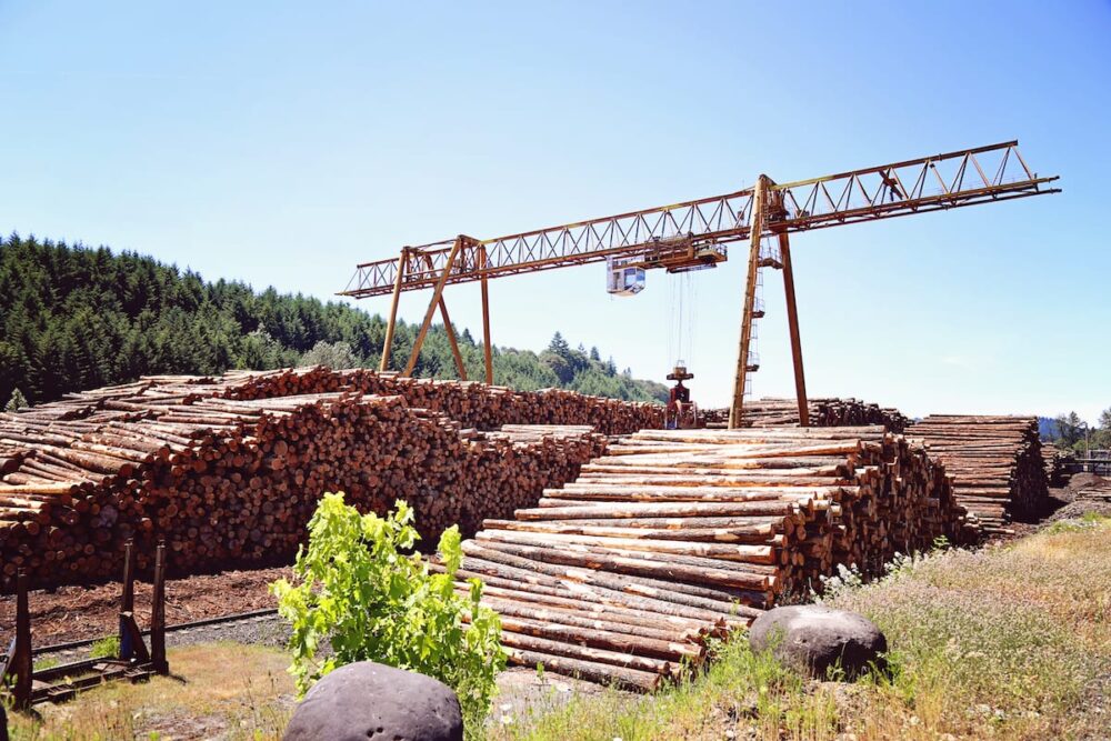 Large stacks of cut logs, destined for South American wood products, with a yellow crane and forested hills in the background under a clear sky.