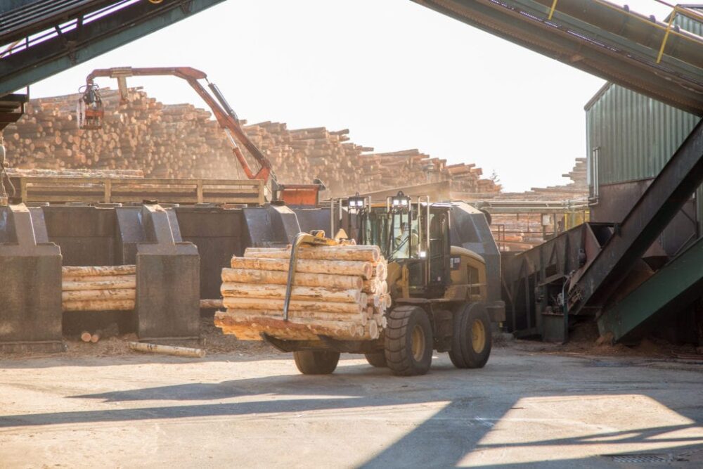 uncertainty in lumber and panel markets