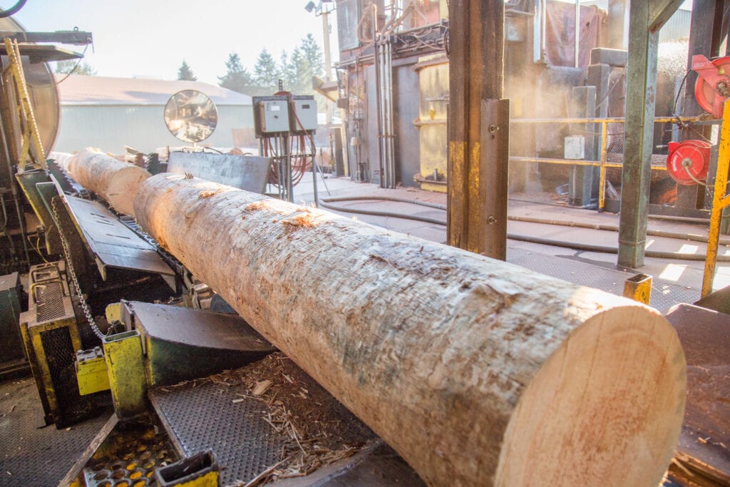 Freres Lumber August Market Report: Dramatic Difference in Plywood Orders and Inventory