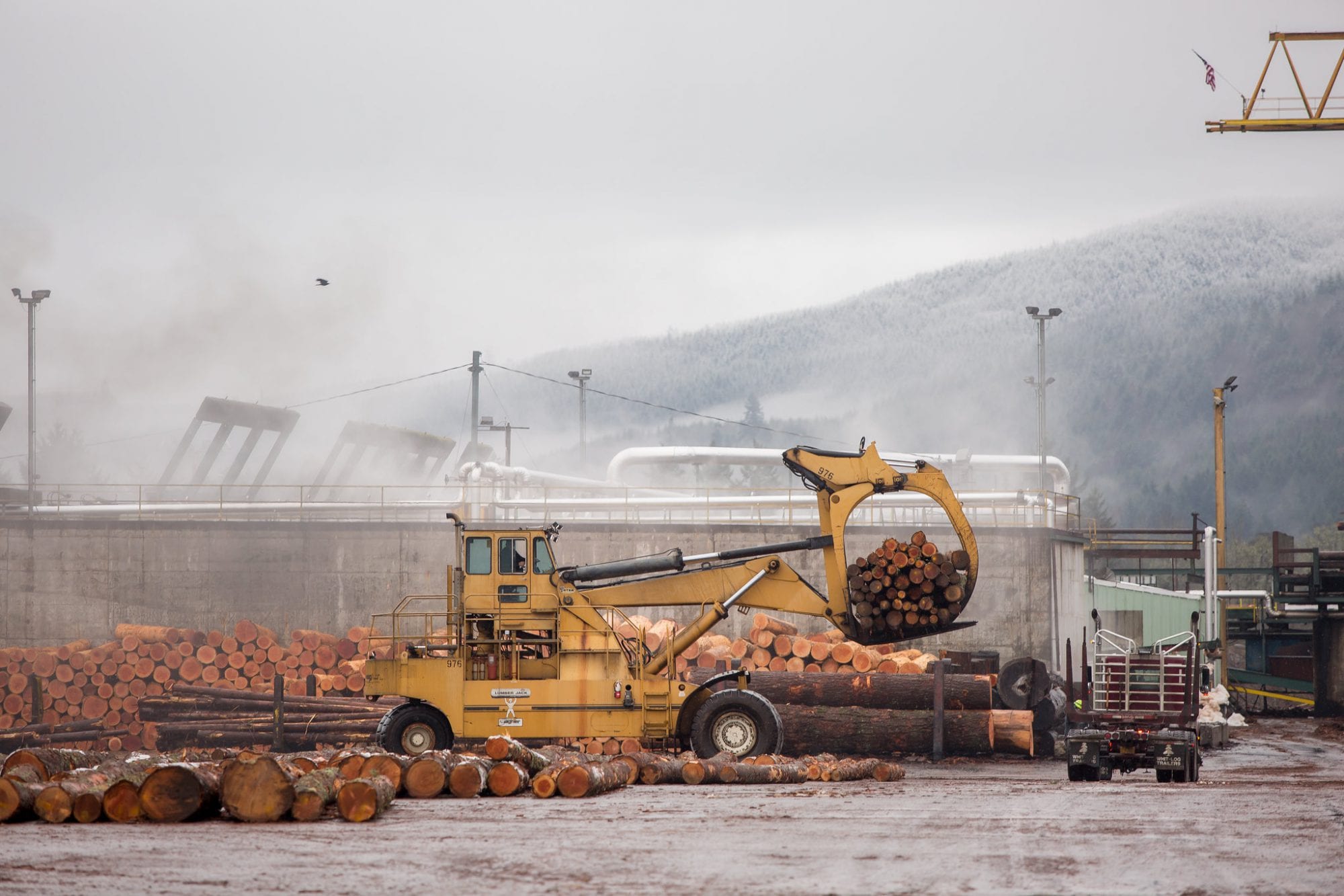 Freres Lumber November Market Update: Gradual Improvements in End of Year Plywood Markets
