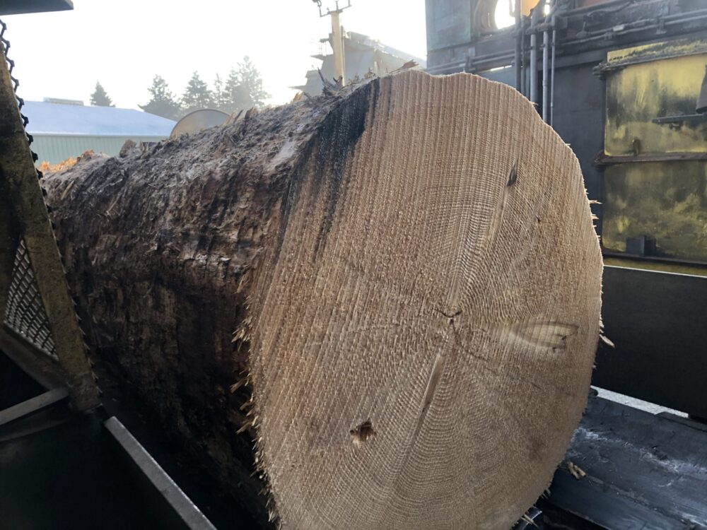 December Plywood Markets