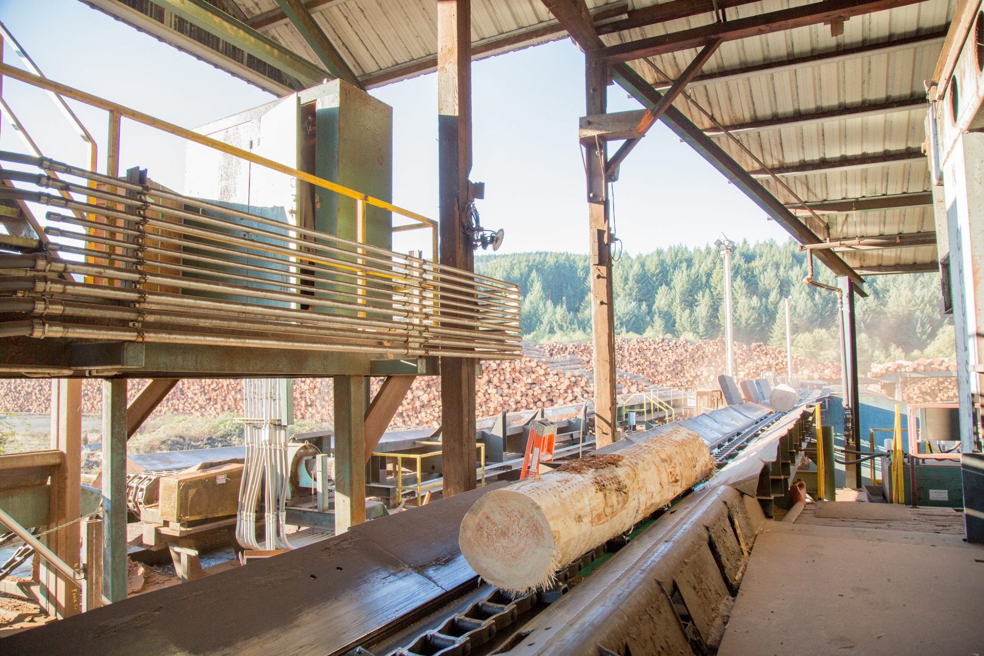 commodity plywood and panel markets