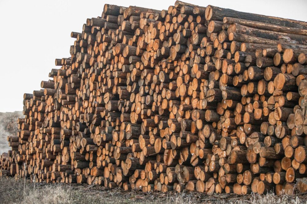 commodity plywood market