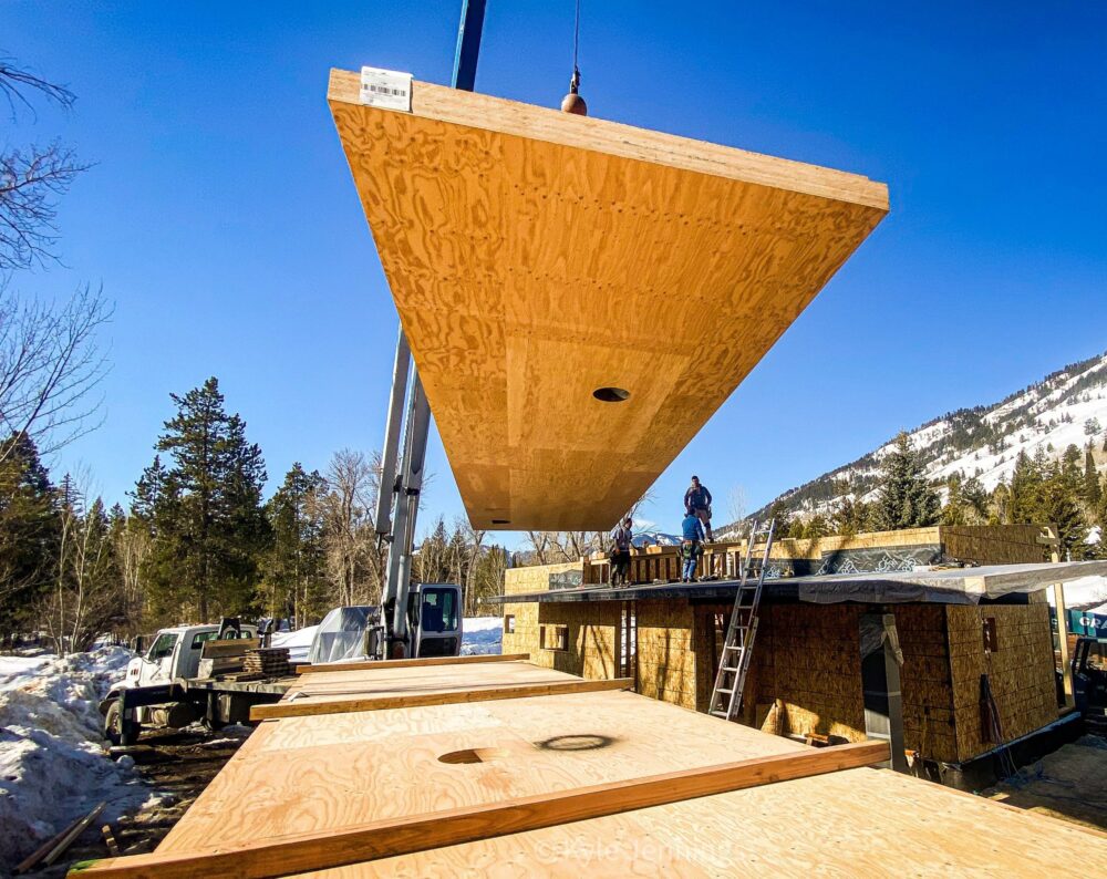 Trout House CaseStudy 1