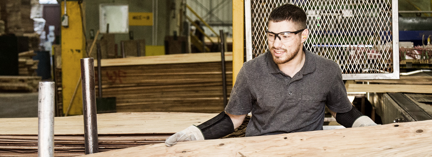 home careers plywood man