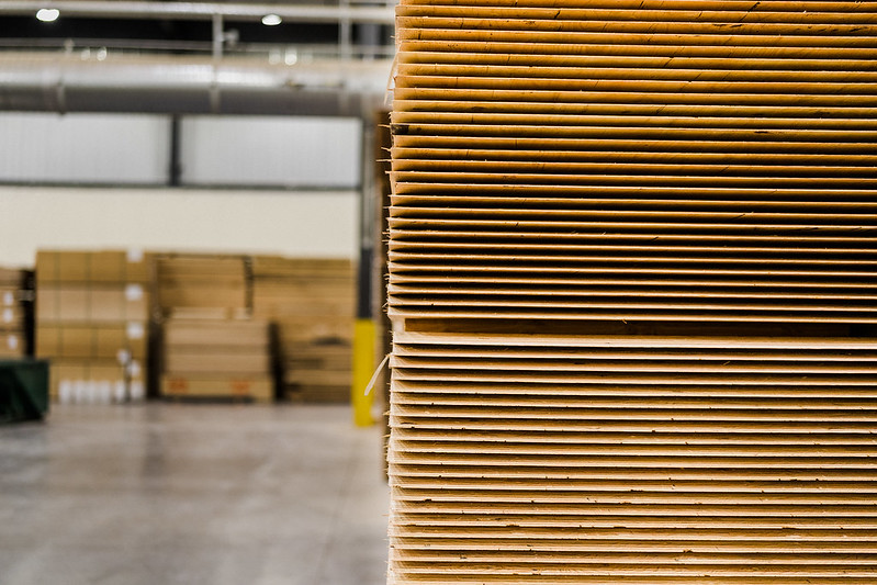 Wood Prices Have Corrected
