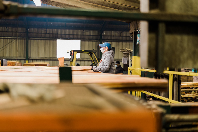 plywood markets headed into 2023