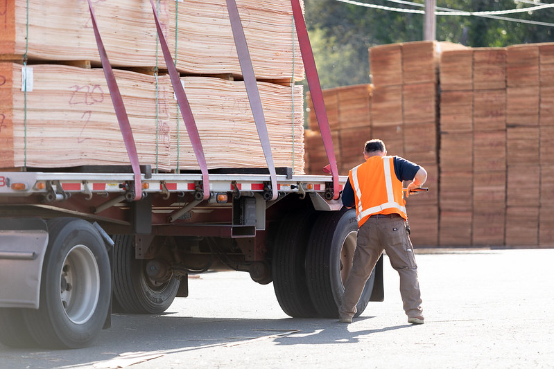 plywood market trends