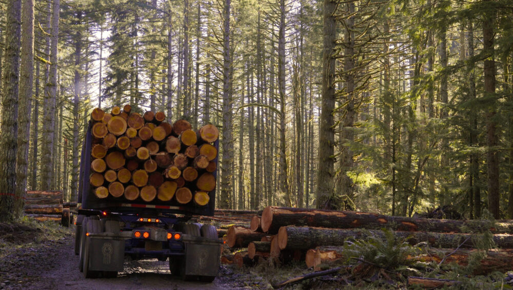 Log Truck Video Still 08