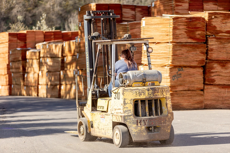plywood price fluctuations