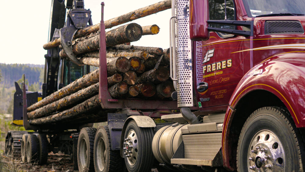 R99 renewable diesel