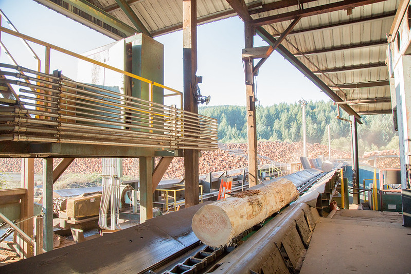 commodity lumber market trends