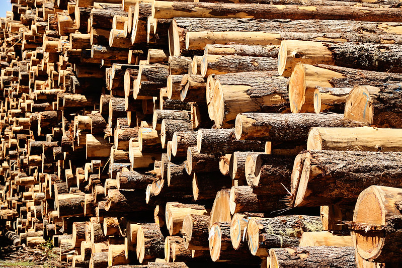 plywood industry trends