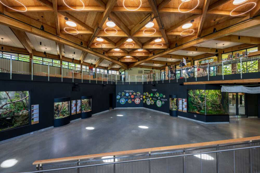 world forestry center mass timber