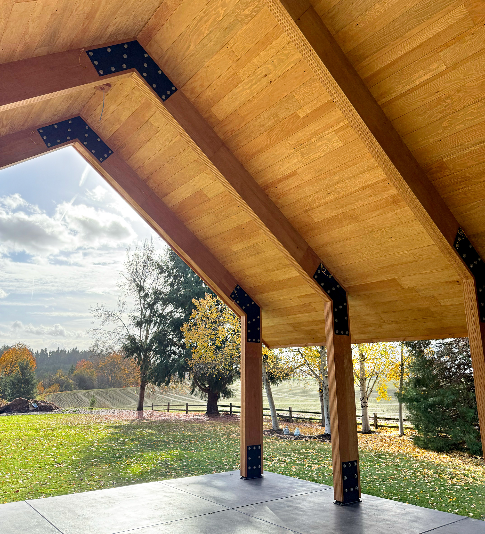 Fergus Patio mass ply Clear Board Face vaulted ceiling