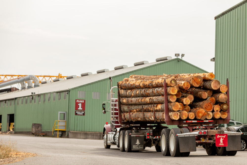 western plywood market
