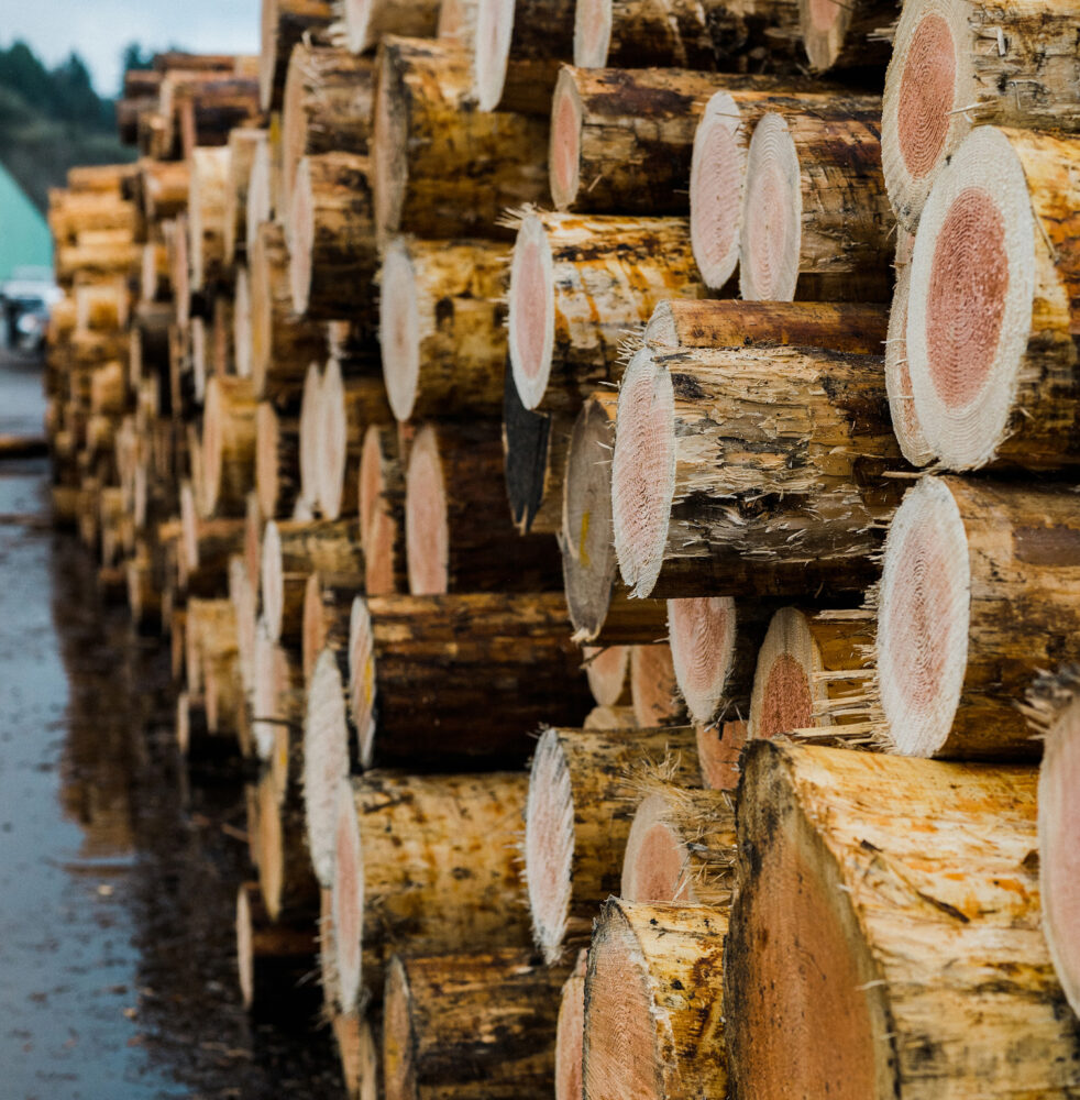 stacked timber logs Freres lumberyard